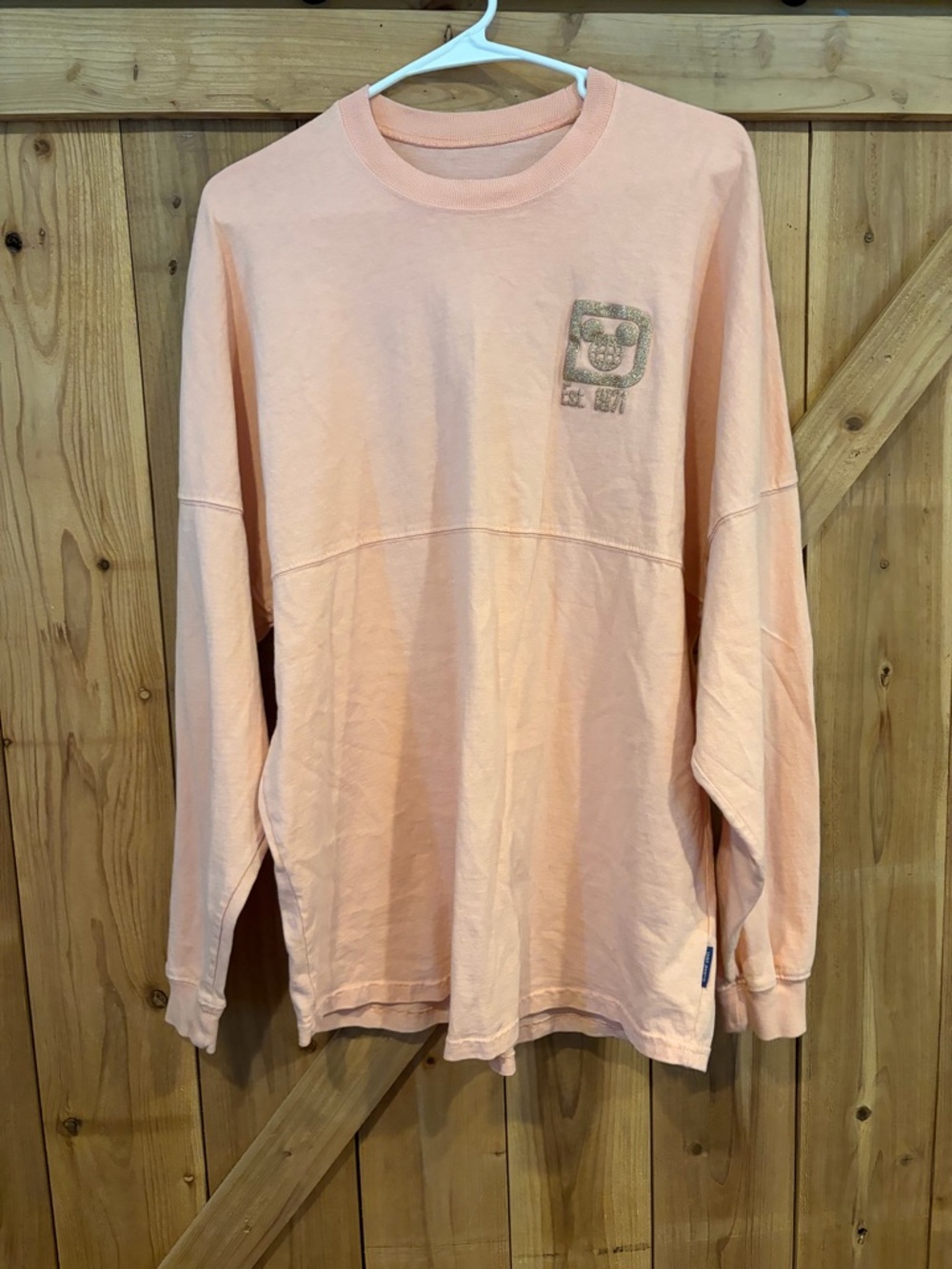 Disney Spirit Jersey